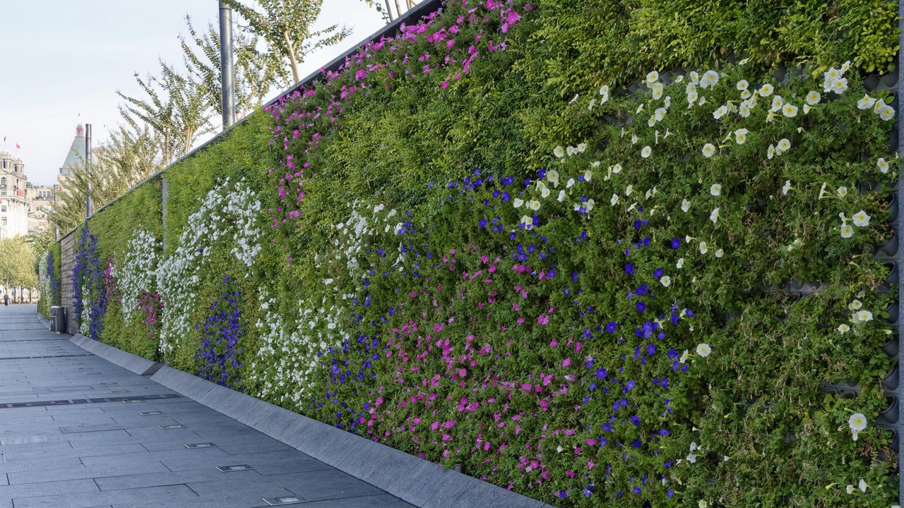 20161112 082315•Shanghai•Shanghai•China